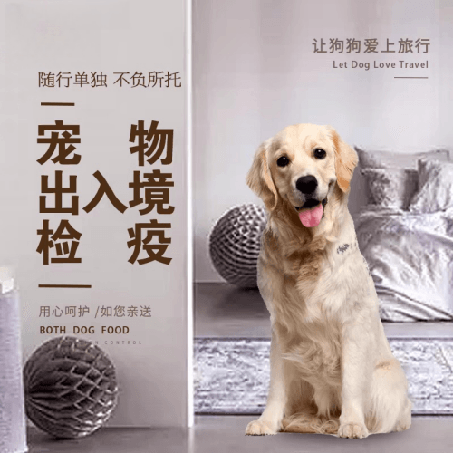 铁岭市宠物托运到哥伦比亚猫狗宠物入境规定和