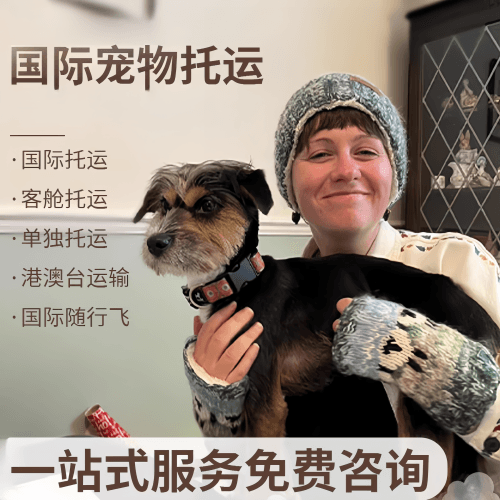 铁岭市国际宠物托运到阿根廷宠物入境规定和要