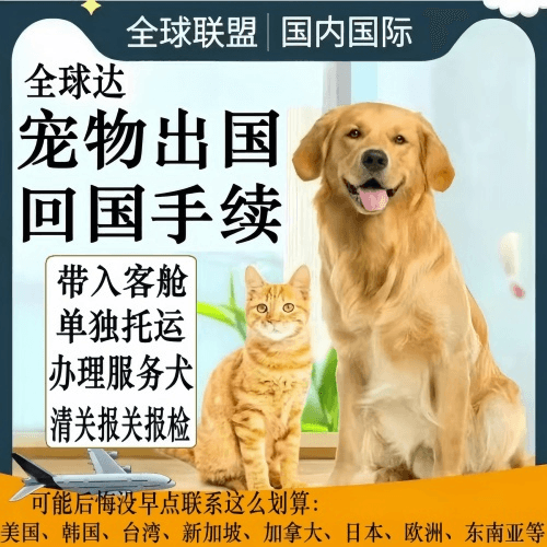铁岭市宠物托运到柬埔寨宠物入境规定和要求