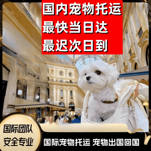铁岭市到澳大利亚（澳洲）宠物入境规定和要求
