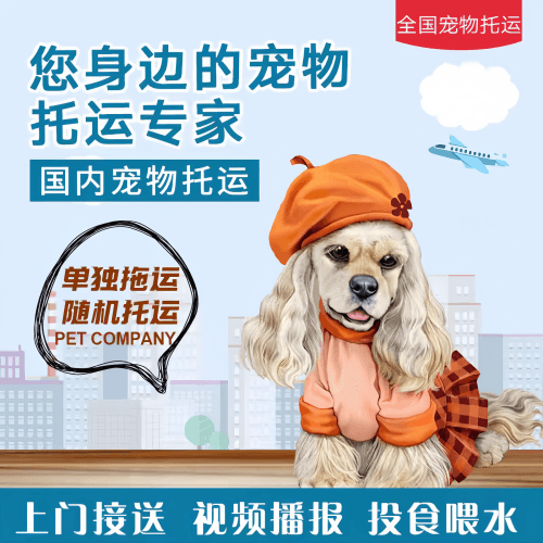 满财铁岭市宠物全球达宠物托运作为专业的宠物运输代理机构